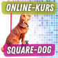 SQR Dog - Online